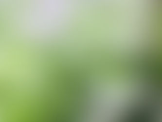 9月スケジュール