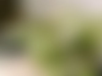 パリ・トップフローリストが束ねるブーケの秘密