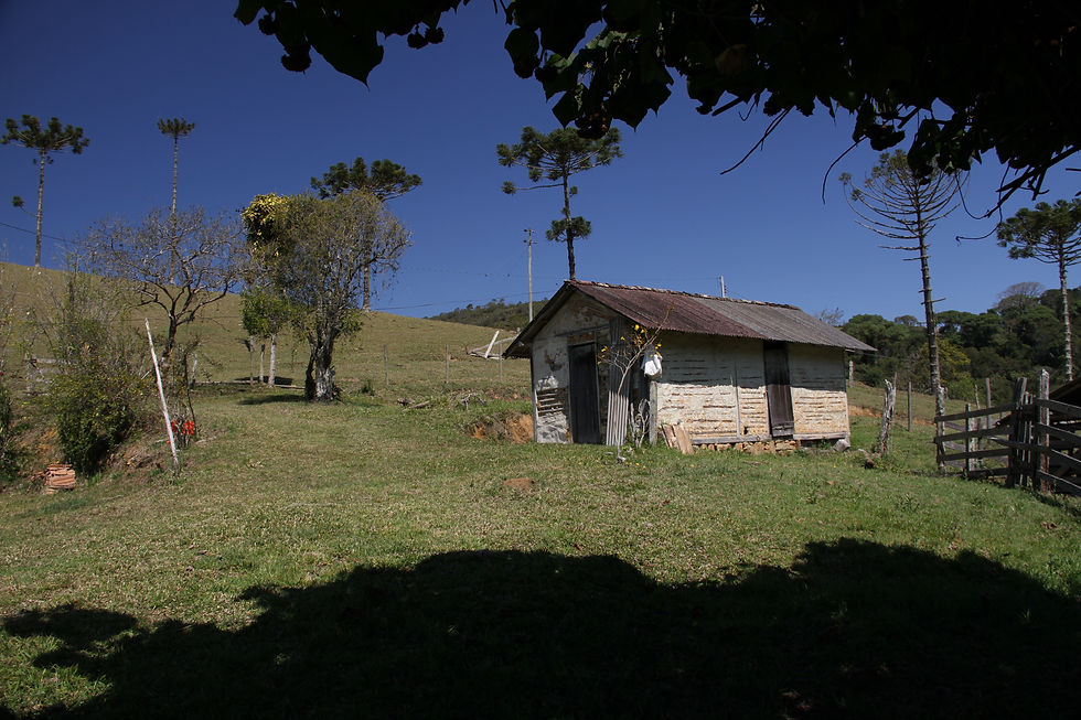 A casa de sapê
