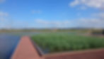 ビオトープ風景