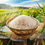 Thumbnail: Organic Thooyamalli Rice/ தூயமல்லி அரிசி