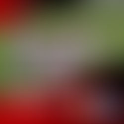 Καμπανιακός Κ17 - Ηρακλής Κ17 pregame