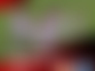 Καμπανιακός Κ17 - Ηρακλής Κ17 pregame