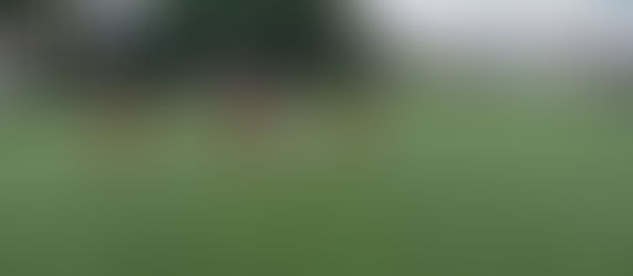 Αγωνιστικό Σαββατοκύριακο για τα Τμήματα Υποδομής!