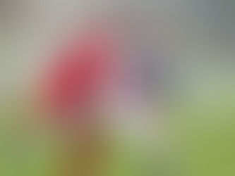 Καμπανιακός - ΠΑΟΚ Β 1-2