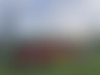 Γέμισε τα γήπεδα η Ακαδημία!