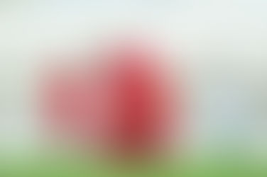 Μακεδονικός - Καμπανιακός 0-1