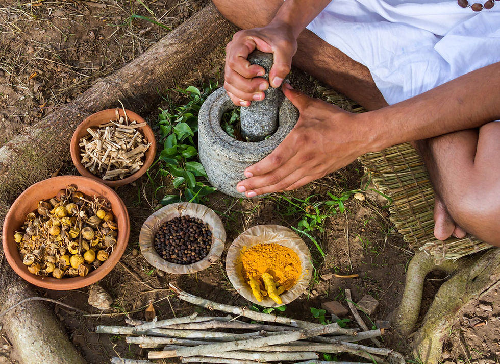 Melde dich an zum kostenlosen Infoabend: Ayurveda Ausbildung (online per Zoom)