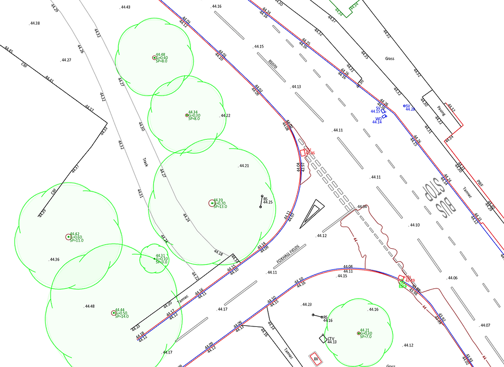 A detailed topographical survey map highlighting road features, bus stop location, surrounding vegetation, and contour lines, providing a precise layout of the area.