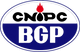 BGP (3) (1).png