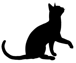 906ab90fca2b5f45f95624eaf3894ed6_cat-sil