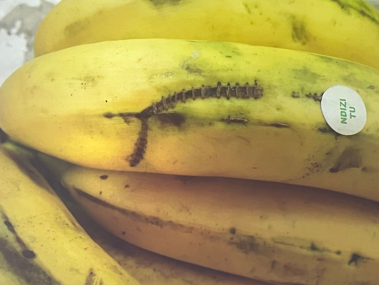 Detail from Syowia Kyambi's 'Split Bananas & Magical Spaces' presentation. A close-up of yellow bananas with brown marks, featuring a sticker labeled "NDIZI TU."