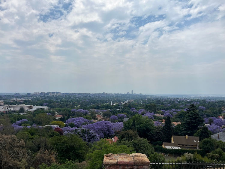 Johannesburg cityscape view with lush greenery and blooming purple jacarandas. Cloudy sky above, creating a tranquil and expansive atmosphere.