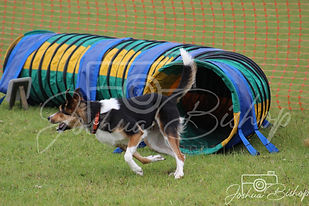 IMG_3577.jpg