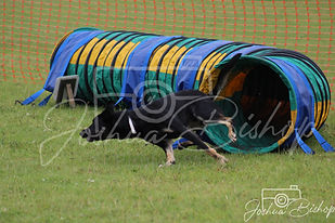 IMG_3585.jpg