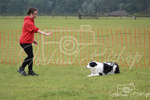 IMG_3568.jpg