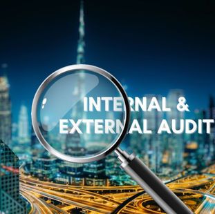 Internal and External Audits