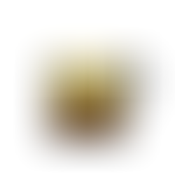 Schematische voorstelling van een Latté