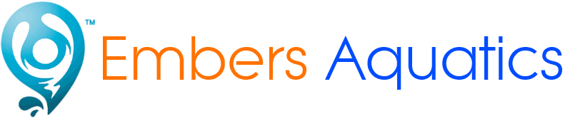 Embers Transparent Logo.gif