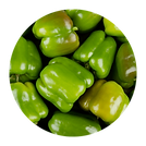 Capsicum.png