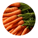 Carrot.png