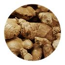 Ginger.png