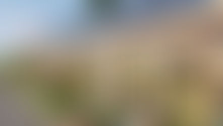 Are you prepared for this and the next pandemic?