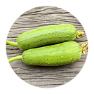 Sponge Gourd_Galka.png