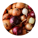Onion.png