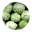 Cabbage.png