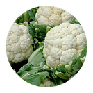 Cauliflower.png