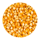 corn.png