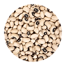 Navy Beans_Haricot.png
