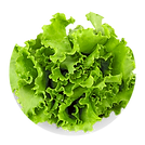 9.png
