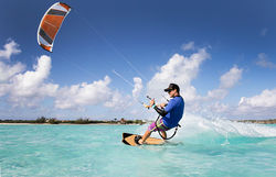 istockphoto-588369684-170667a.jpg