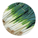 Leek.png