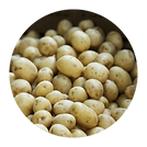 baby potato.png