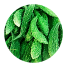 Bitter Gourd_Karela.png