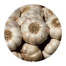 Garlic.png