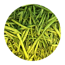 Cluster Beans_Gawar.png