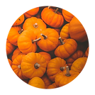 Pumpkin.png