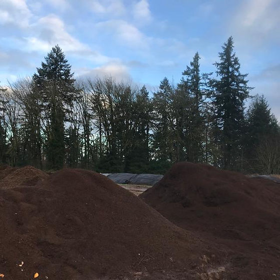 finished compost .JPG