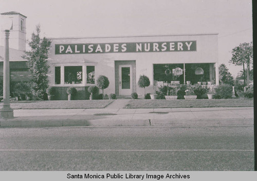 Why gardeners need to support their local Nursery or Garden Center?