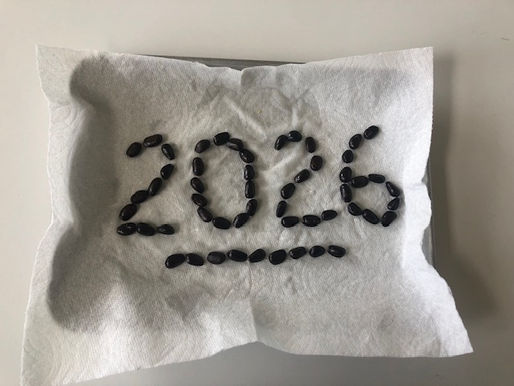 2026 spelled out in cherimoya seeds