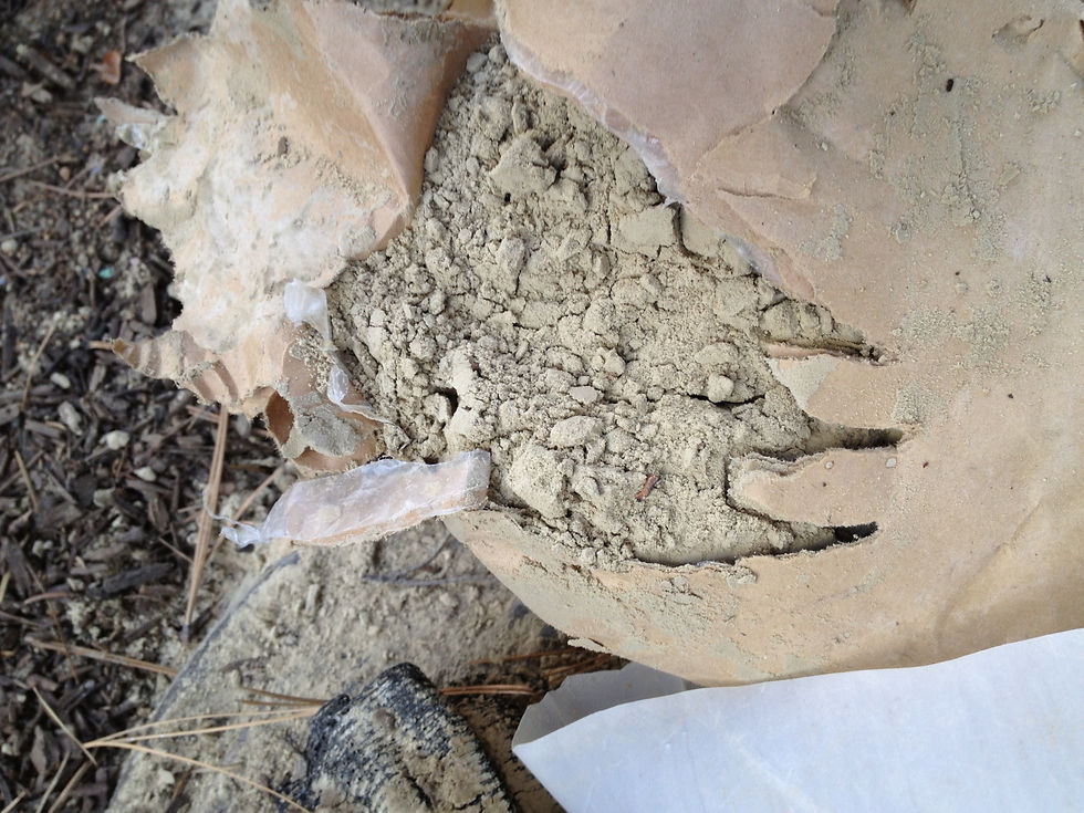 Bear claw opened up bag of fish bone meal with contents spilling on top of soil.