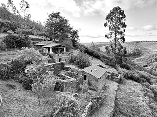 Candão Idealista - 1_edited.jpg