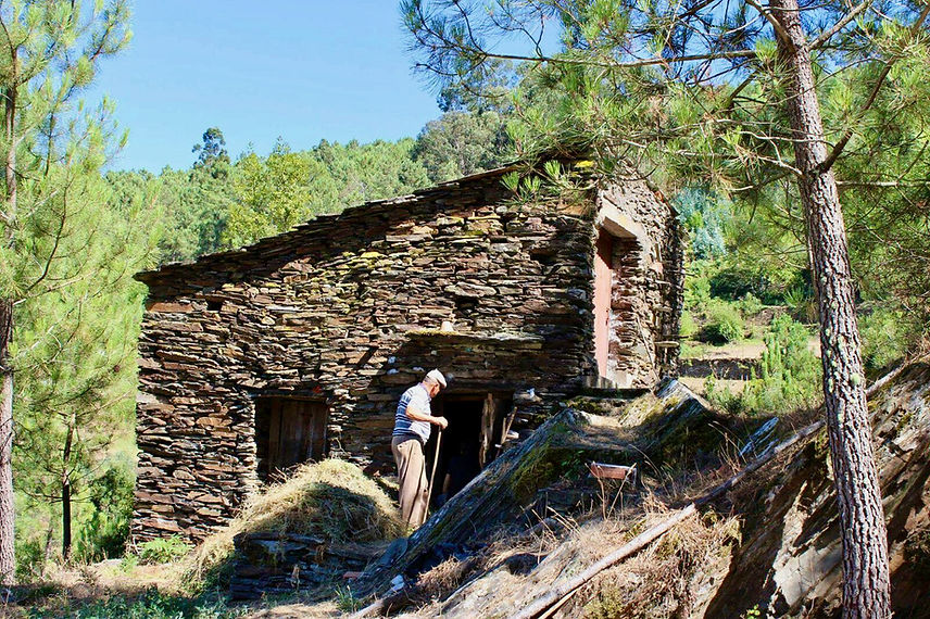 schist house local building sheep old man mountains
