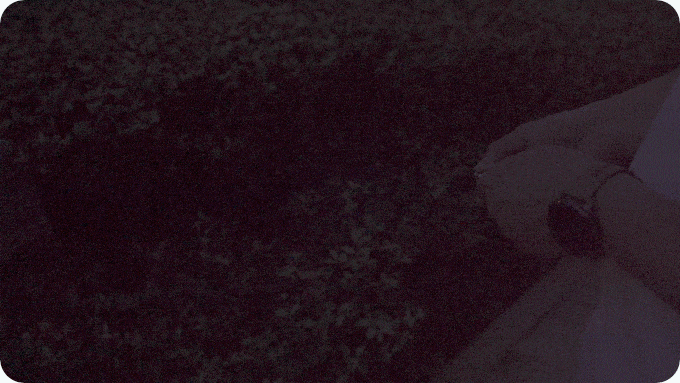 light (1).gif