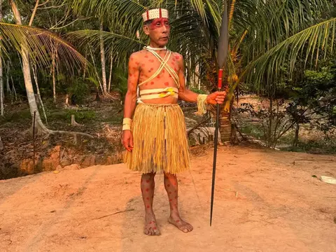 matses master tribe