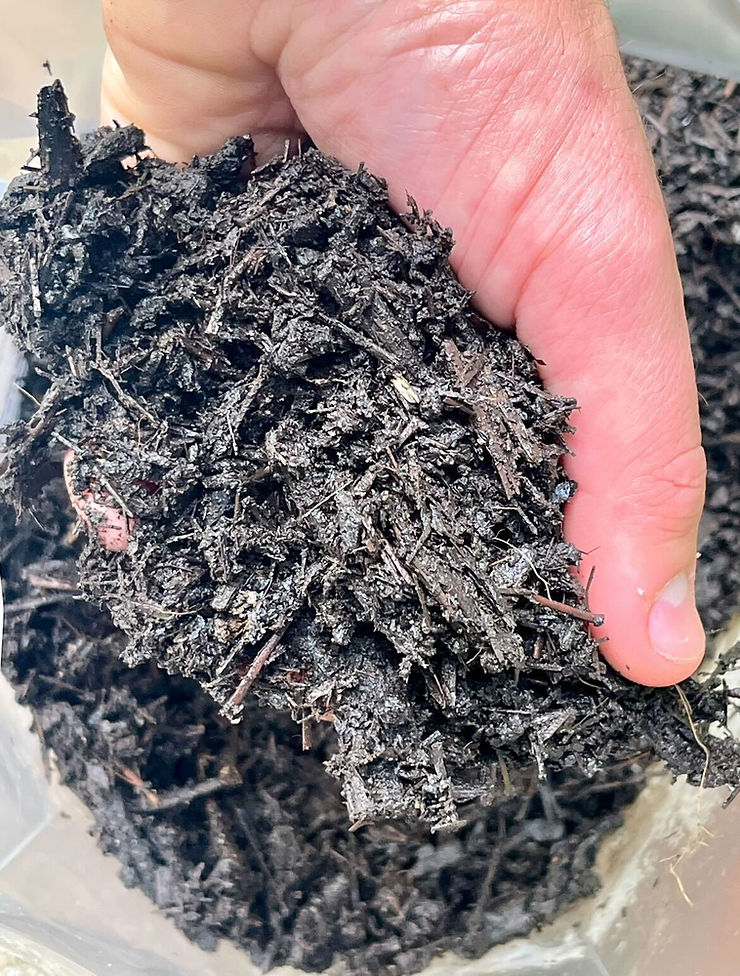 Healthy plants start with healthy soil